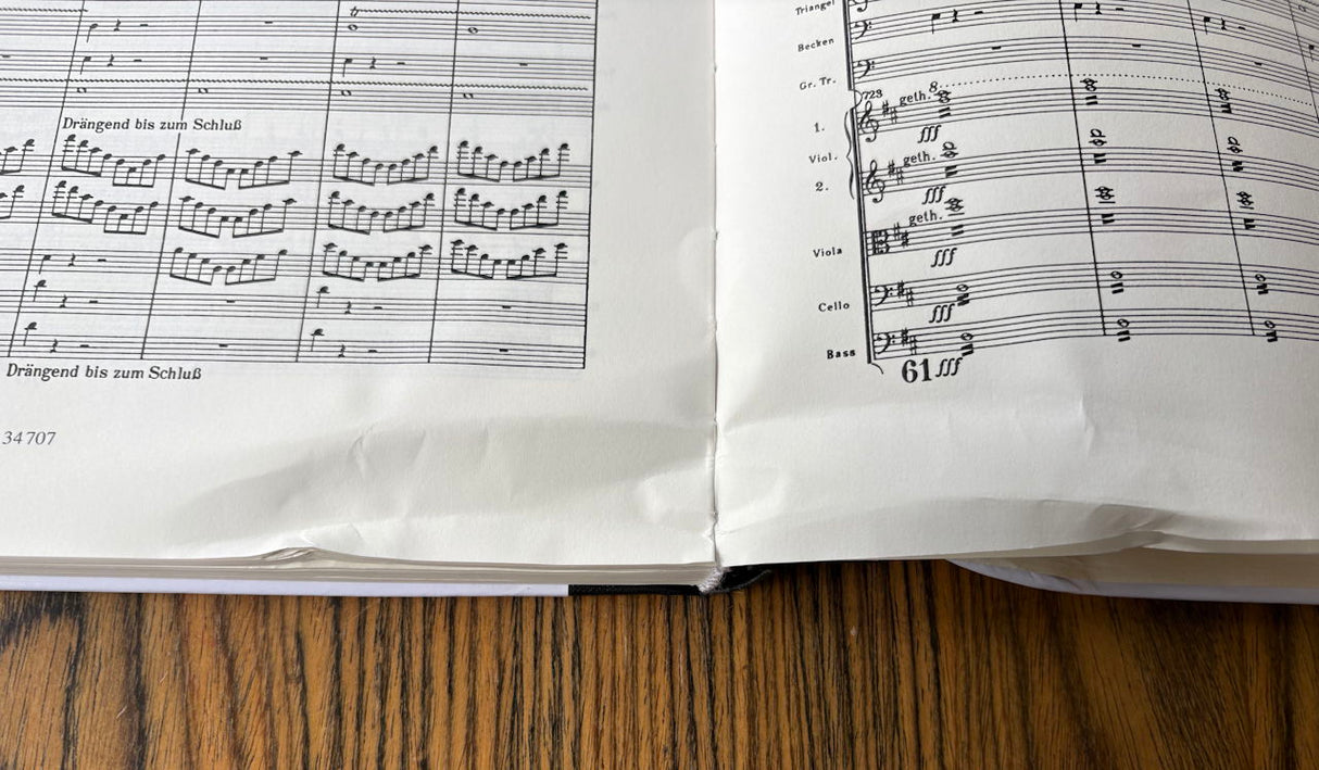 Mahler, Symphonie Nr. 1 Full Score HARD (Universal)