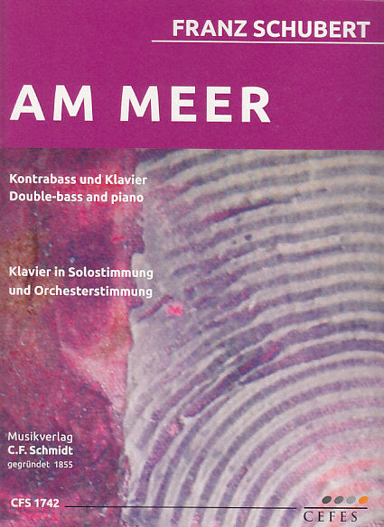 Schubert, Am Meer (C.F.Schmidt)