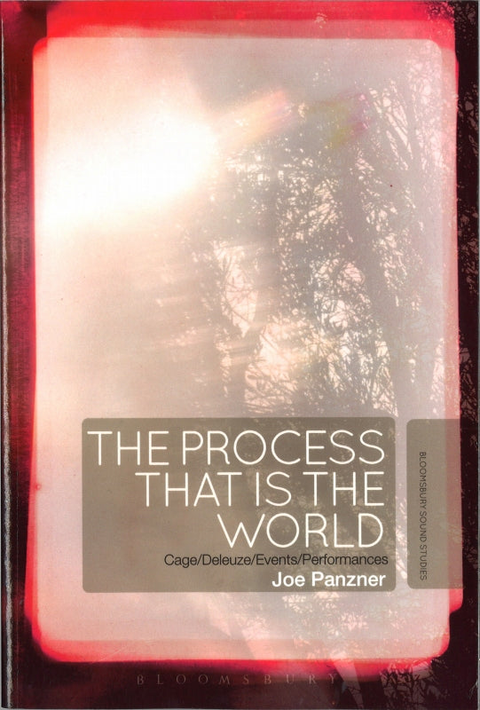 Panzer, Process That Is the World (Bloomsbury Academic)