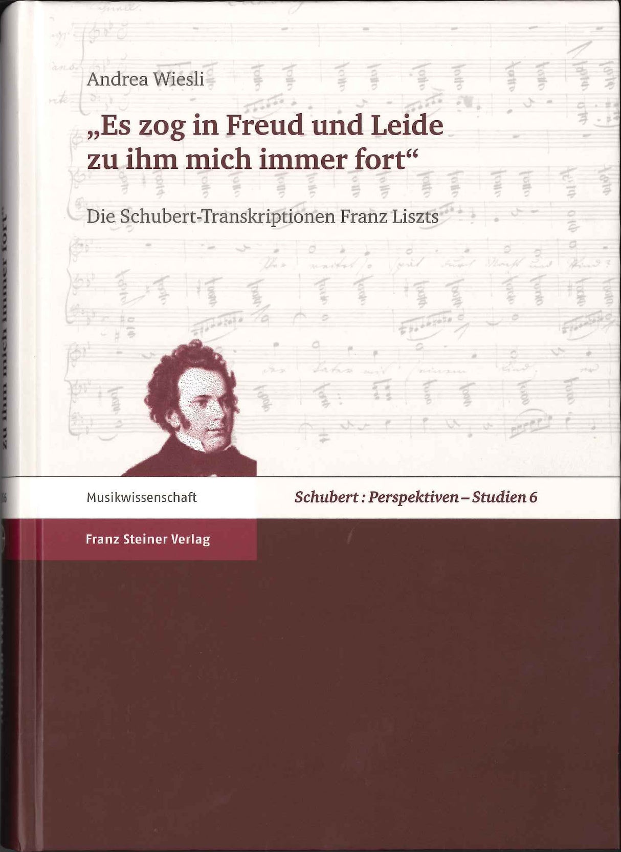 Schubert: Perspektiven - Studien 6 (Franz Steiner)