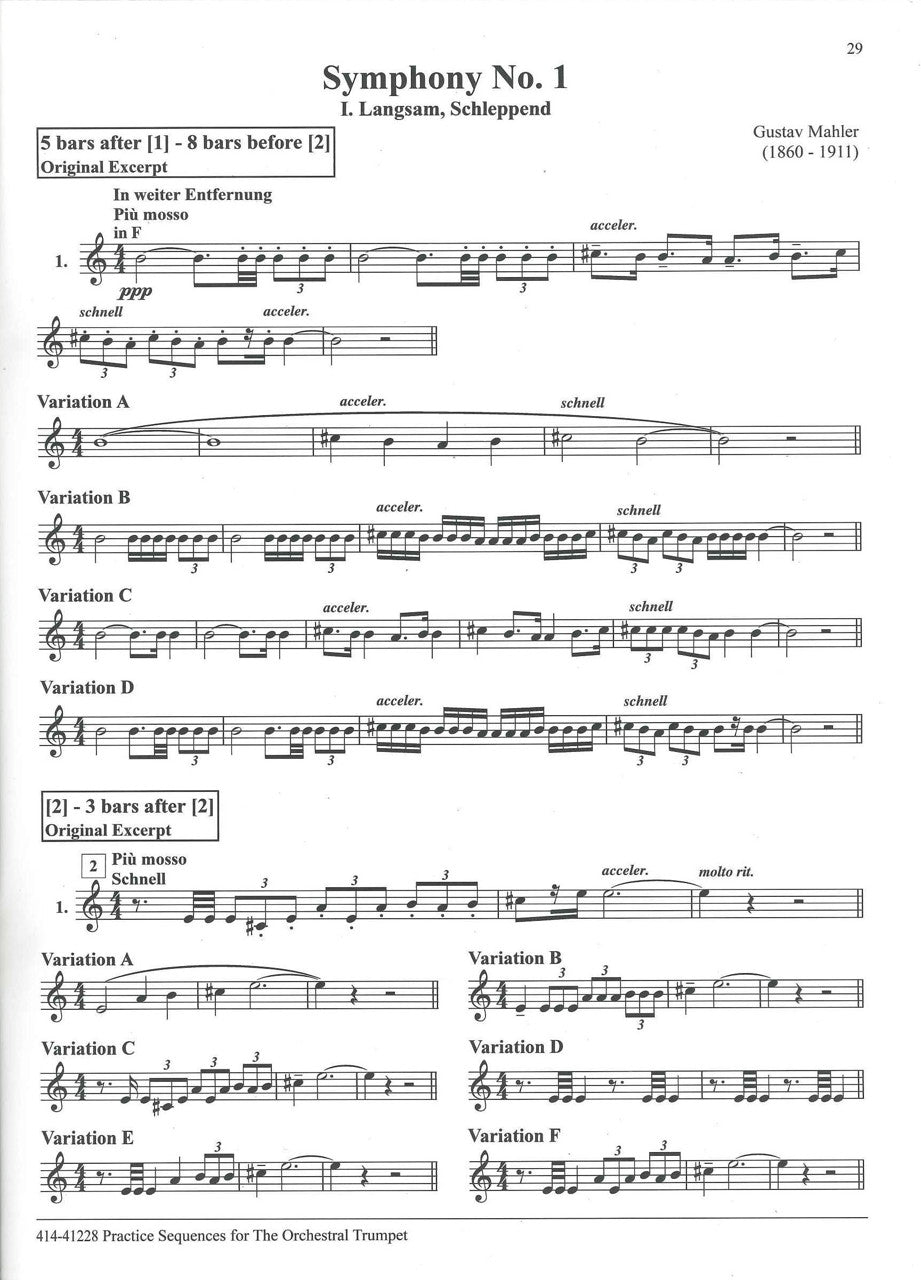 Sachs, Practice Sequences for The Orches (Presser)