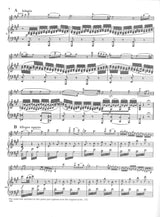 Mozart, Concerto KV 219 (No.5)(Galamian) (IMC)