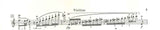 Saint-Saens, Introduction & Rondo op. 28 (Peters)