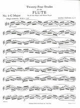 Andersen, op. 15: 24 Etudes (Carl Fischer)