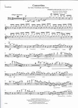 David, Concertino op. 4 (Muller/Tokke) (Carl Fischer)