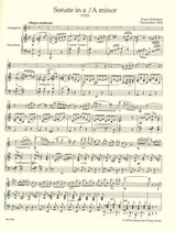 Schubert, Sonata D 821 in a 'Arpeggione' (Barenreiter)