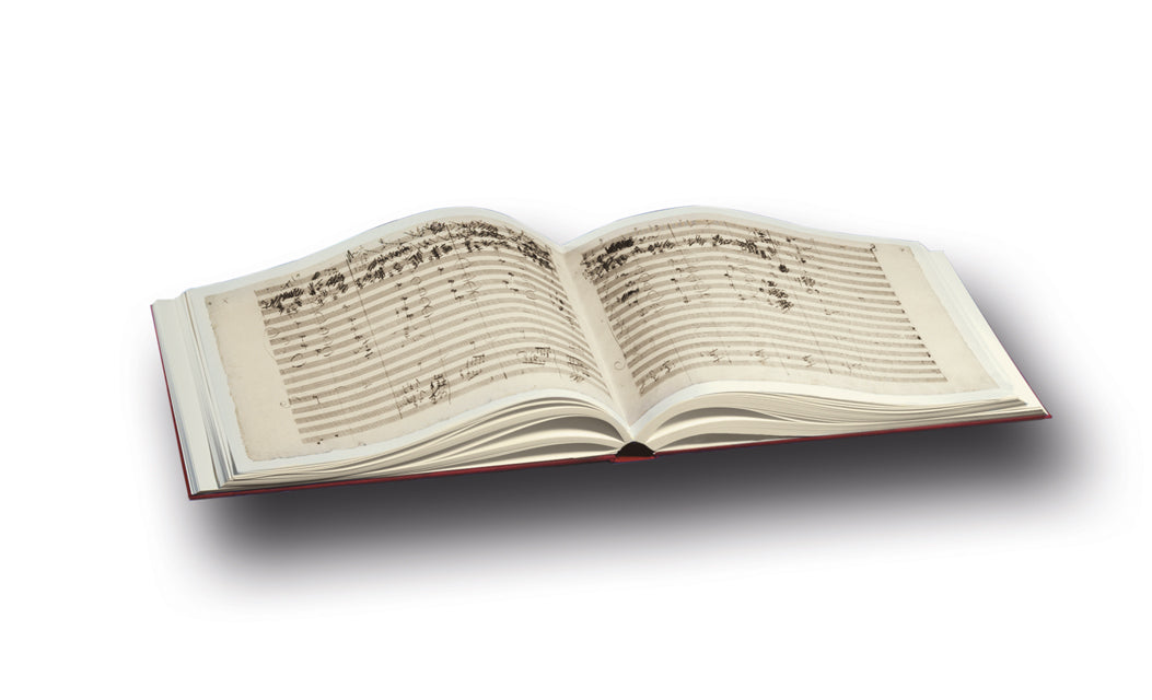 Beethoven, Symphonie Nr. 5 (Facs) (Laaber-Verlag)
