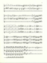 Mozart, Concerto KV 314(285d) in C (Henle)