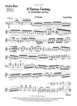 Proto, Carmen Fantasy (Liben Music)