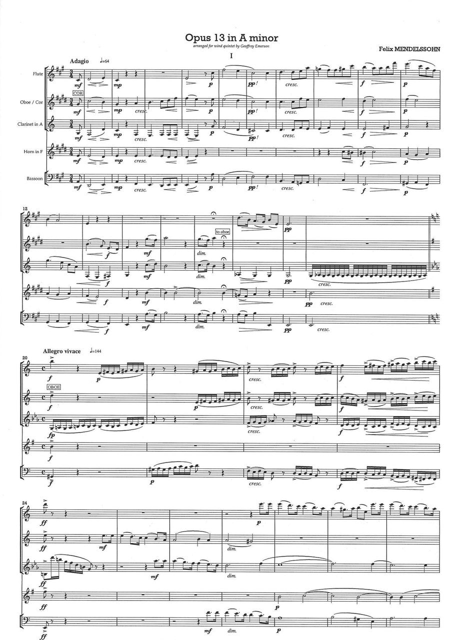 Mendelssohn, Opus 13 in a minor (Red Hedgehog)