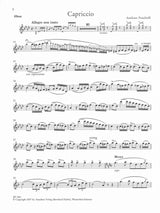 Ponchielli, Capriccio (Meier) (Amadeus Verlag)