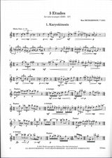 Richardson, 3 Etudes (2005) (Bim)