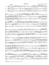 Schneider, 6 Trios concertante, 1-3 3Fl (Amadeus Verlag)