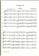 Fuchs, Serenade op. 21: Full Score (Edition Stringendo)
