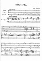 Fuchs, Piano Quartet No. 1 in g op. 15 (Hoflich)