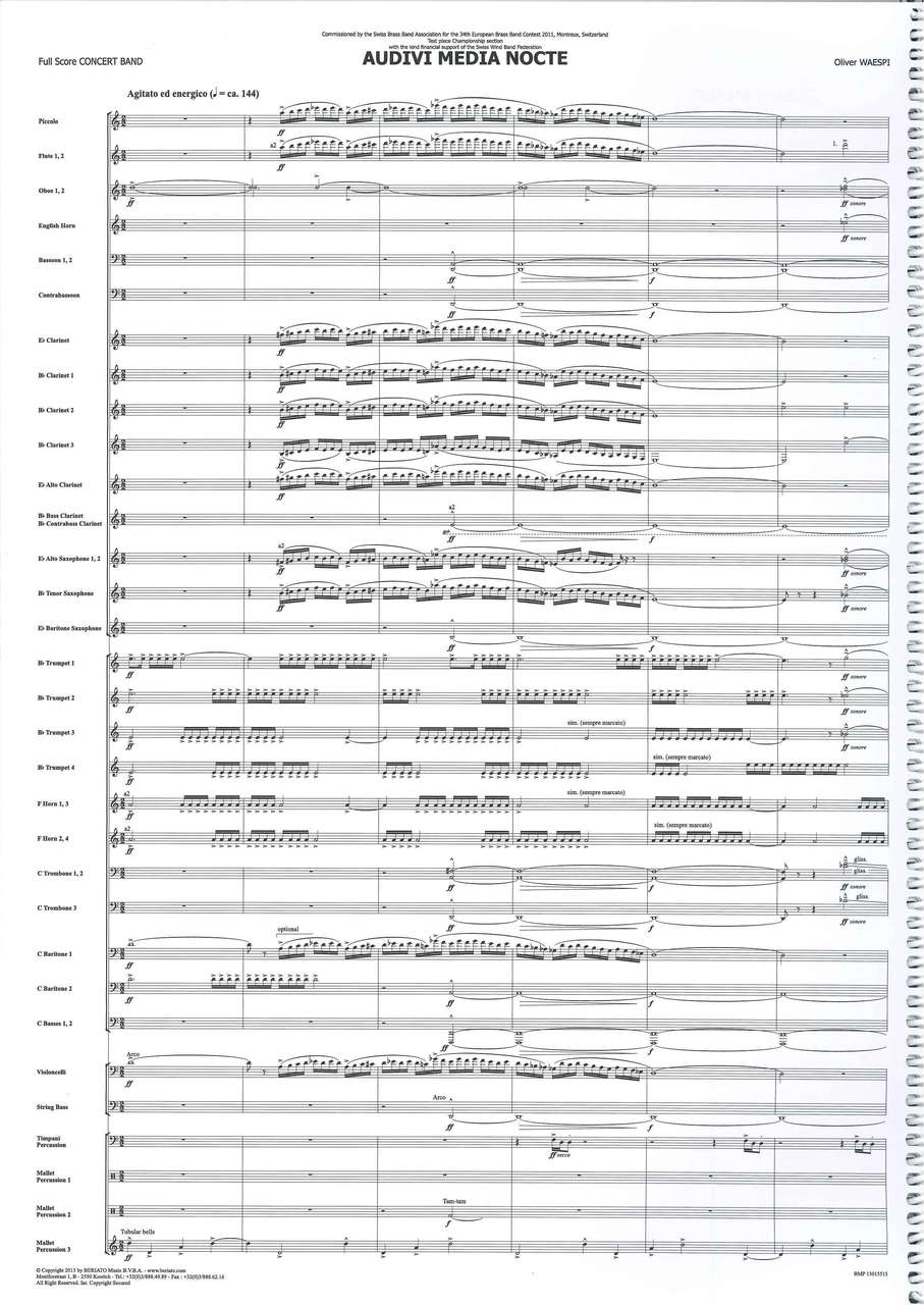 Waespi, Audivi Media Nocte: Full Score (Beriato)