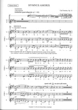 Nielsen, Hymnus amoris op. 12 Chorus Scr (W.Hansen)