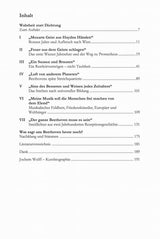Jochem, Funke des Prometheus: Beethoven (Weidler Buchverlag)