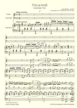 Sibelius, Trio in a, JS 207 'Havtrask-' (Breitkopf)