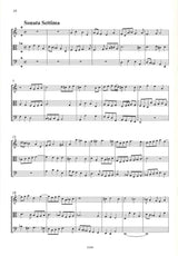 Young, Sonate a 3 viole V-IX (Guntersberg/Walhall)