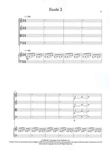 Glass, Glassworks Opening; Etudes 2 & 5 (Dunvagen/Chester)