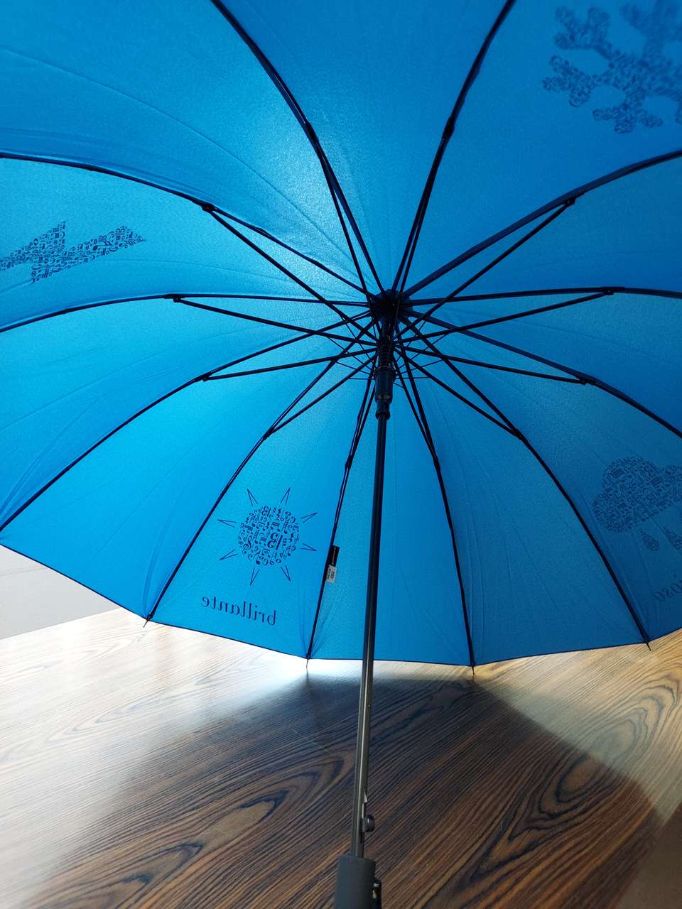 Henle Umbrella (Henle)