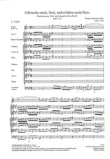 Bach, Cantata No.136 (Carus)